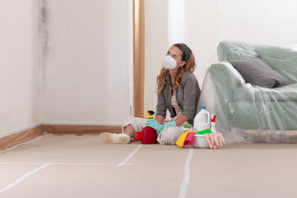 Reliable Mold Cleanup contractor in Interlochen, MI by WQB Mold Removal
